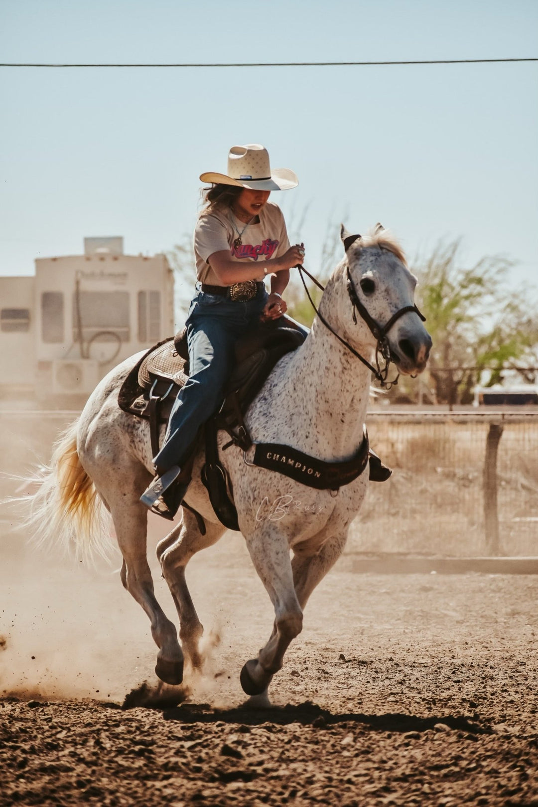 Horse Care - J&R Tack & Feed CO