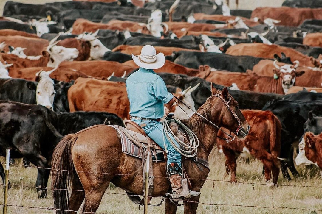 Tack & Supply - J&R Tack & Feed CO