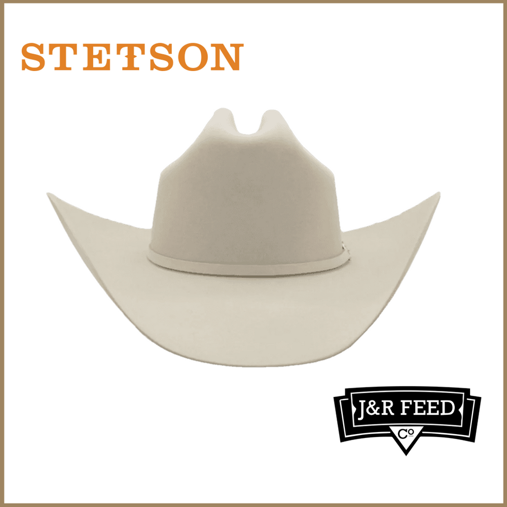 STETSON PARADISE SILVERBELLY FELT HAT - J&R Tack & Feed CO