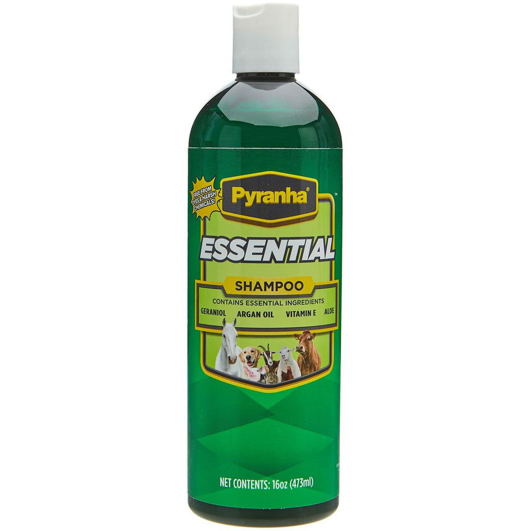 PYRANHA ESSENTIAL SHAMPOO 16OZ