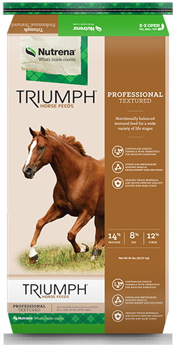 TRIUMPH PROFESSIONAL 14 TX