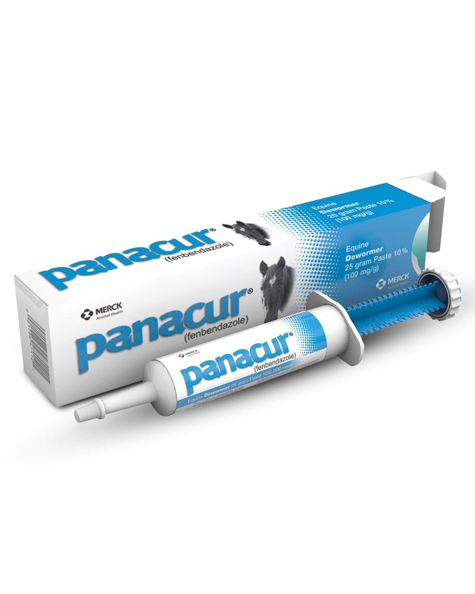 PANACUR PASTE 25GM - J&R Tack & Feed CO