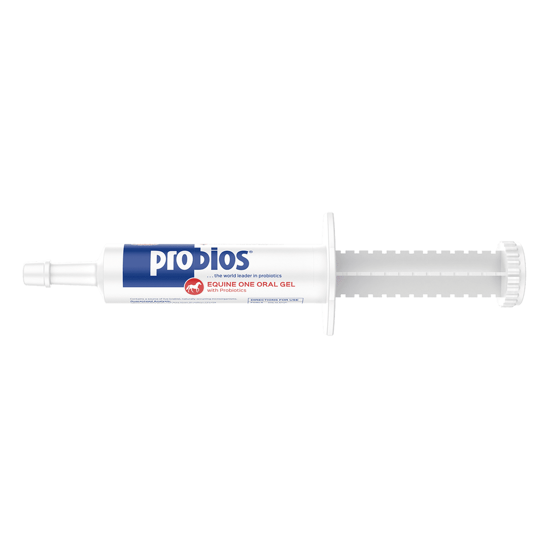 PROBIOS EQUINE GEL (30 GM) - J&R Tack & Feed CO