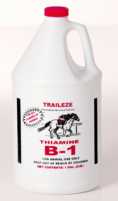 THIAMINE B-1 (1 GAL) - J&R Tack & Feed CO