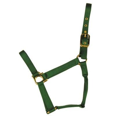 VALHOMA Q HALTER GREEN - J&R Tack & Feed CO
