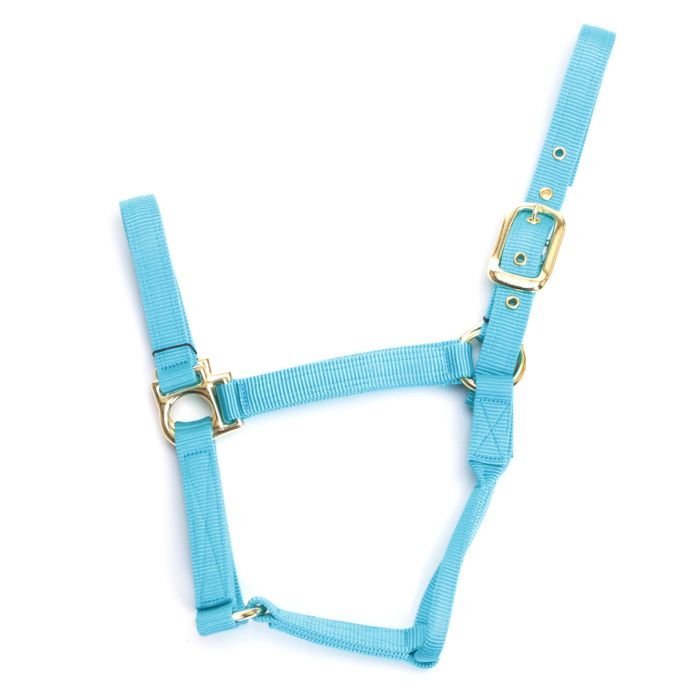 VALHOMA Q HALTER TURQUOISE - J&R Tack & Feed CO