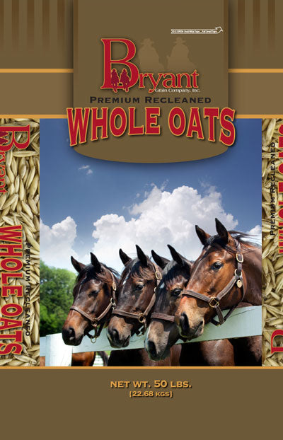 WHOLE OATS RECLEANED