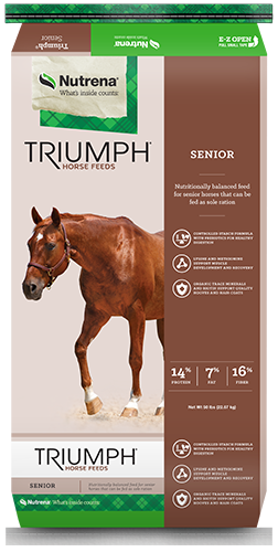 TRIUMPH SENIOR