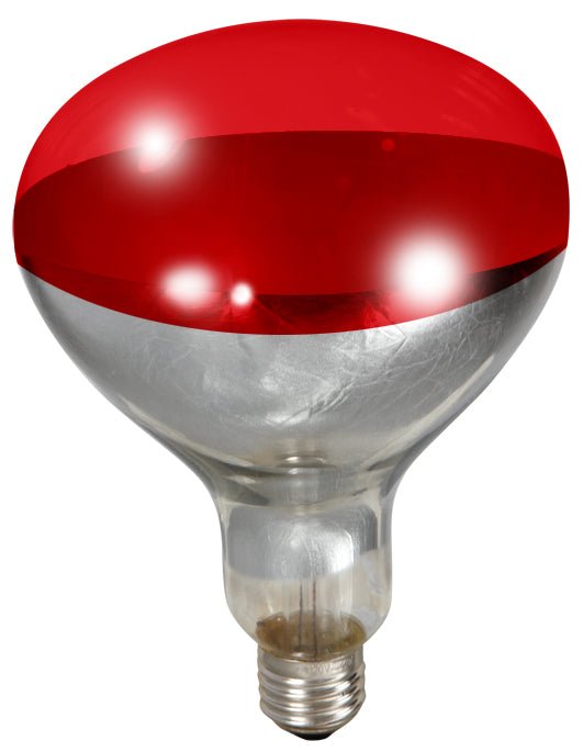 RED BULB - J&R Tack & Feed CO